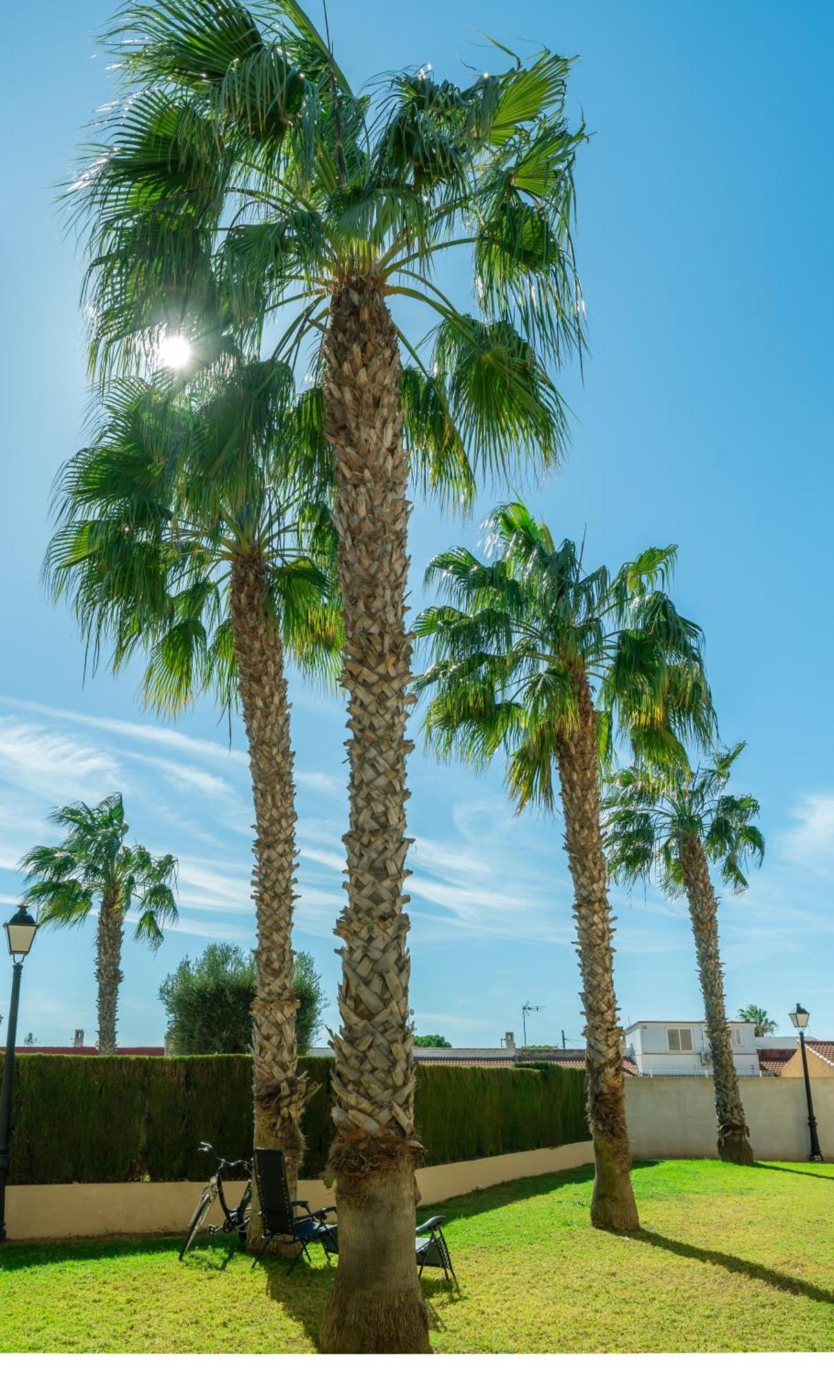Club Salino Hideaway-Your Peaceful Retreat With Pool In Torrevieja Ngoại thất bức ảnh